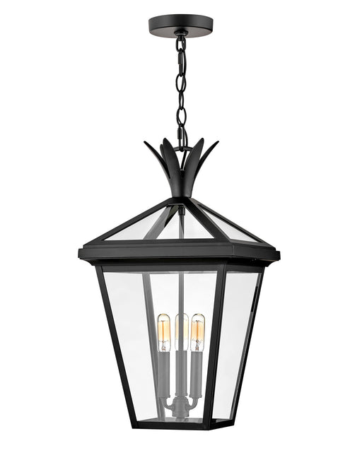 Hinkley - 26092BK - Three Light Hanging Lantern - Palma - Black