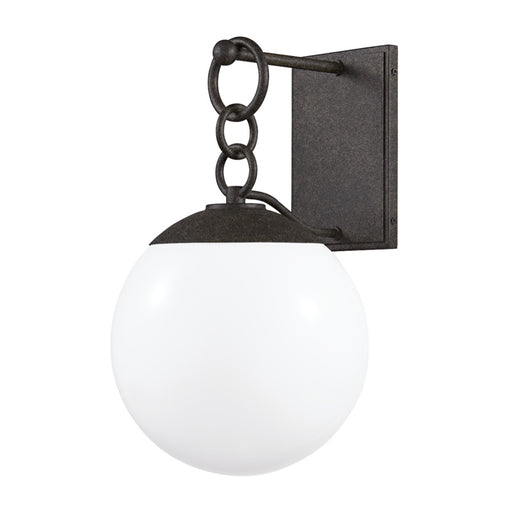 Stormy Outdoor Wall Sconce