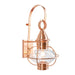 Norwell Lighting - 1712-CO-CL - One Light Outdoor Wall Mount - American Onion - Copper