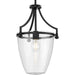 Progress Lighting - P500360-31M - One Light Pendant - Parkhurst - Matte Black