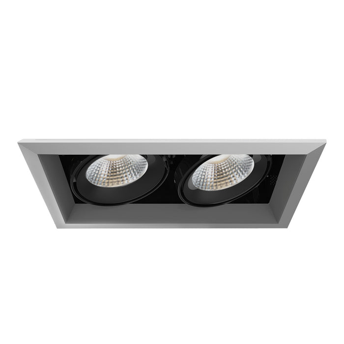 Eurofase - TE132LED-40-2-0N - LED Recessed - Platinum