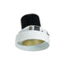 Nora Lighting - NIO-4RTLA27XCHMPW/10 - Adjustable Trim - Champagne Haze Adjustable / Matte Powder White Reflector
