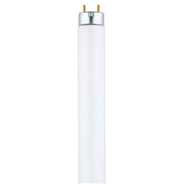 Nora Lighting - NIO-4RTLA50XCH/10 - Adjustable Trim - Champagne Haze Adjustable / Champagne Haze Reflector