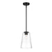 Designers Fountain - D230M-8P-MB - One Light Pendant - Ingo - Matte Black