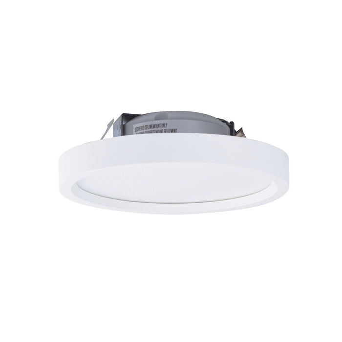 Nora Lighting - NLOS-R42L50WW - 4" Round LED Reg Edge-Lit Surf - White
