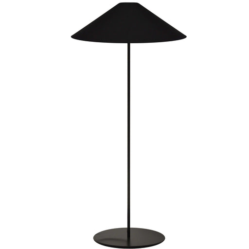 Dainolite Ltd - MM241F-BK-797 - One Light Floor Lamp - Maine - Black