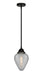 Innovations - 288-1S-BK-G165-LED - LED Mini Pendant - Nouveau 2 - Matte Black