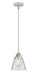 Innovations - 288-1S-PC-G62-LED - LED Mini Pendant - Nouveau 2 - Polished Chrome