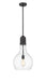 Innovations - 492-1S-BK-G582-12 - One Light Mini Pendant - Auralume - Matte Black