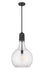 Innovations - 492-1S-BK-G584-14 - One Light Pendant - Auralume - Matte Black