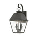 Livex Lighting - 27215-61 - Two Light Outdoor Wall Lantern - Wentworth - Charcoal