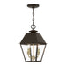 Livex Lighting - 27217-07 - Two Light Outdoor Pendant - Wentworth - Bronze with Antique Brass Finish Cluster