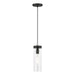Livex Lighting - 41236-04 - One Light Mini Pendant - Devoe - Black with Brushed Nickel