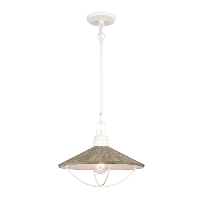 ELK Home - 63157/1 - One Light Pendant - Cape May - White Coral