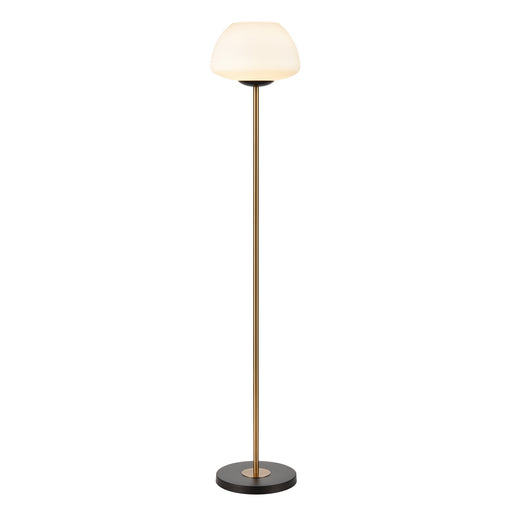 ELK Home - H0019-9585 - One Light Floor Lamp - AliGrove - Aged Brass