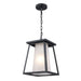 Trans Globe Imports - 51394 BK - One Light Hanging Lantern - Black