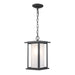 Trans Globe Imports - 51404 BK - One Light Hanging Lantern - Black