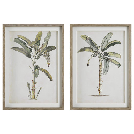 Uttermost - 41446 - Framed Prints, Set/2 - Banana Palm - Light Wood