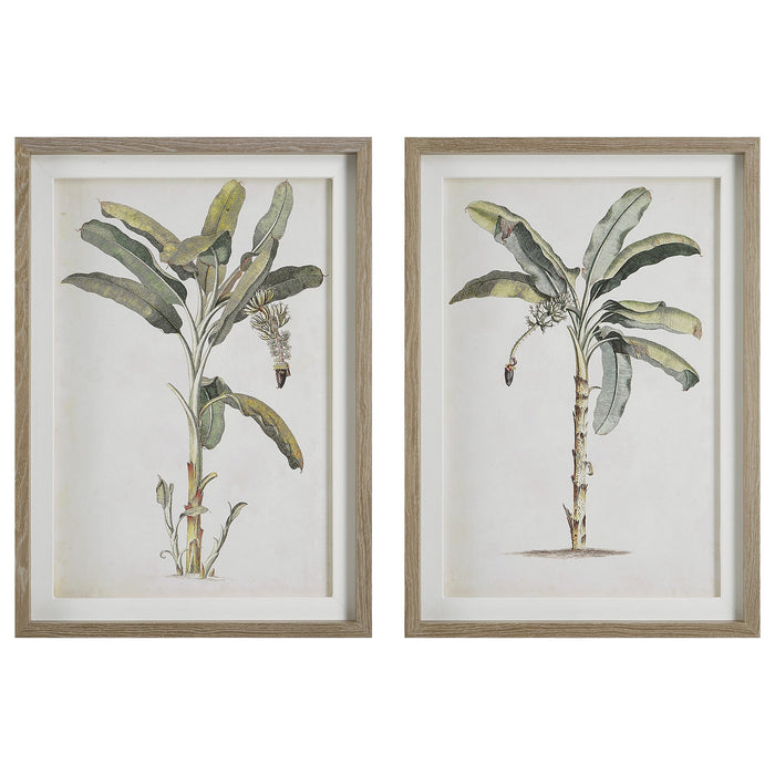 Uttermost - 41446 - Framed Prints, Set/2 - Banana Palm - Light Wood