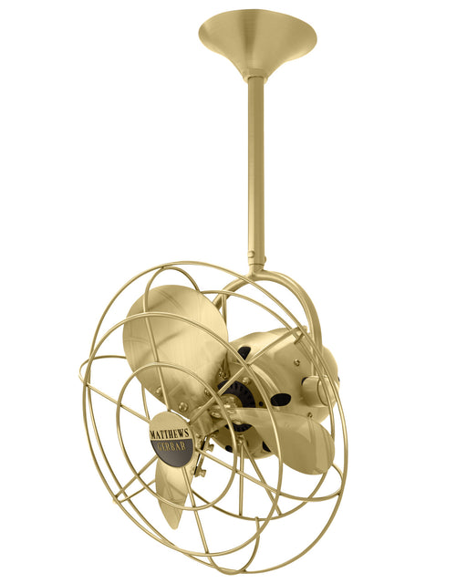Matthews Fan Company - BD-BRBR-MTL - 16``Ceiling Fan - Bianca Direcional - Brushed Brass