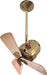 Matthews Fan Company - BD-PB-WD - 16``Ceiling Fan - Bianca Direcional - Polished Brass