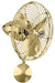 Matthews Fan Company - BP-BRBR-MTL - 19``Wall Fan - Bruna Parede - Brushed Brass