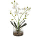 Uttermost - 60201 - Artificial Flower - Glory - Clear