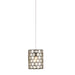 Currey and Company - 9000-1047 - One Light Pendant - Cupertino/Silver
