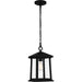 Quoizel - SAT1909MBK - One Light Outdoor Hanging Lantern - Satterfield - Matte Black