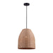 Canarm - IPL785B01BKR - One Light Pendant - Aubrie - Matte Black/Rope Color