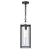 ELK Home - 90013/1 - One Light Outdoor Hanging Lantern - Augusta - Matte Black