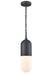 DVI Lighting - DVP13775BK-OP - One Light Pendant - Capsule Outdoor - Black With Half Opal Glass
