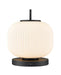 DVI Lighting - DVP40017GR-RIO - One Light Table Lamp - Mount Pearl - Graphite With Ribbed Half Opal Glass