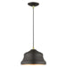 Livex Lighting - 55902-07 - One Light Pendant - Endicott - Bronze with Antique Brass