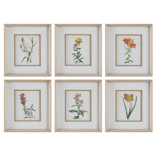 Classic Botanicals Framed Prints Set/6