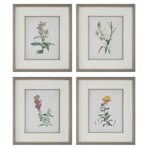 Heirloom Blooms Framed Prints Set/4