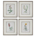 Uttermost - 32285 - Framed Prints Set/4 - Heirloom Blooms - Gray