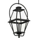 Progress Lighting - P550138-031 - One Light Outdoor Hanging Lantern - Bradshaw - Black