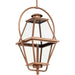 Progress Lighting - P550138-169 - One Light Outdoor Hanging Lantern - Bradshaw - Antique Copper (Painted)