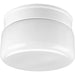 Progress Lighting - P3518-30 - Two Light Close-to-Ceiling - White Glass - White