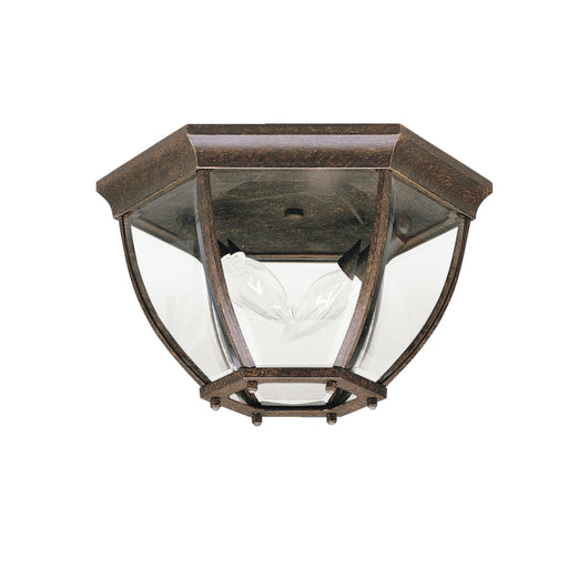 Two Light Outdoor Ceiling Mount