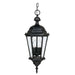 Capital Lighting - 9724BK - Three Light Outdoor Hanging Lantern - Carriage House - Black