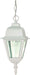 Nuvo Lighting - 60-487 - One Light Hanging Lantern - Briton - White