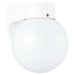Generation Lighting - 8753-15 - One Light Outdoor Wall Lantern - Outdoor Wall - White