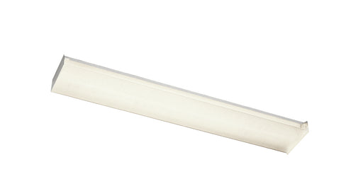 Two Light Linear Ceiling Mount