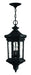 Hinkley - 1602MB - Four Light Hanging Lantern - Raley - Museum Black
