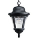 Progress Lighting - P5530-31 - One Light Hanging Lantern - Westport - Textured Black