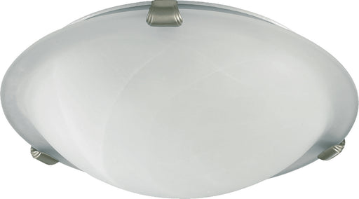 Two Light Ceiling Mount