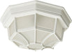 Maxim - 1020WT - Two Light Outdoor Ceiling Mount - Crown Hill - White