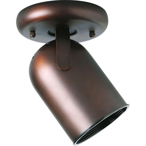 Directional Wall/Ceiling Mount